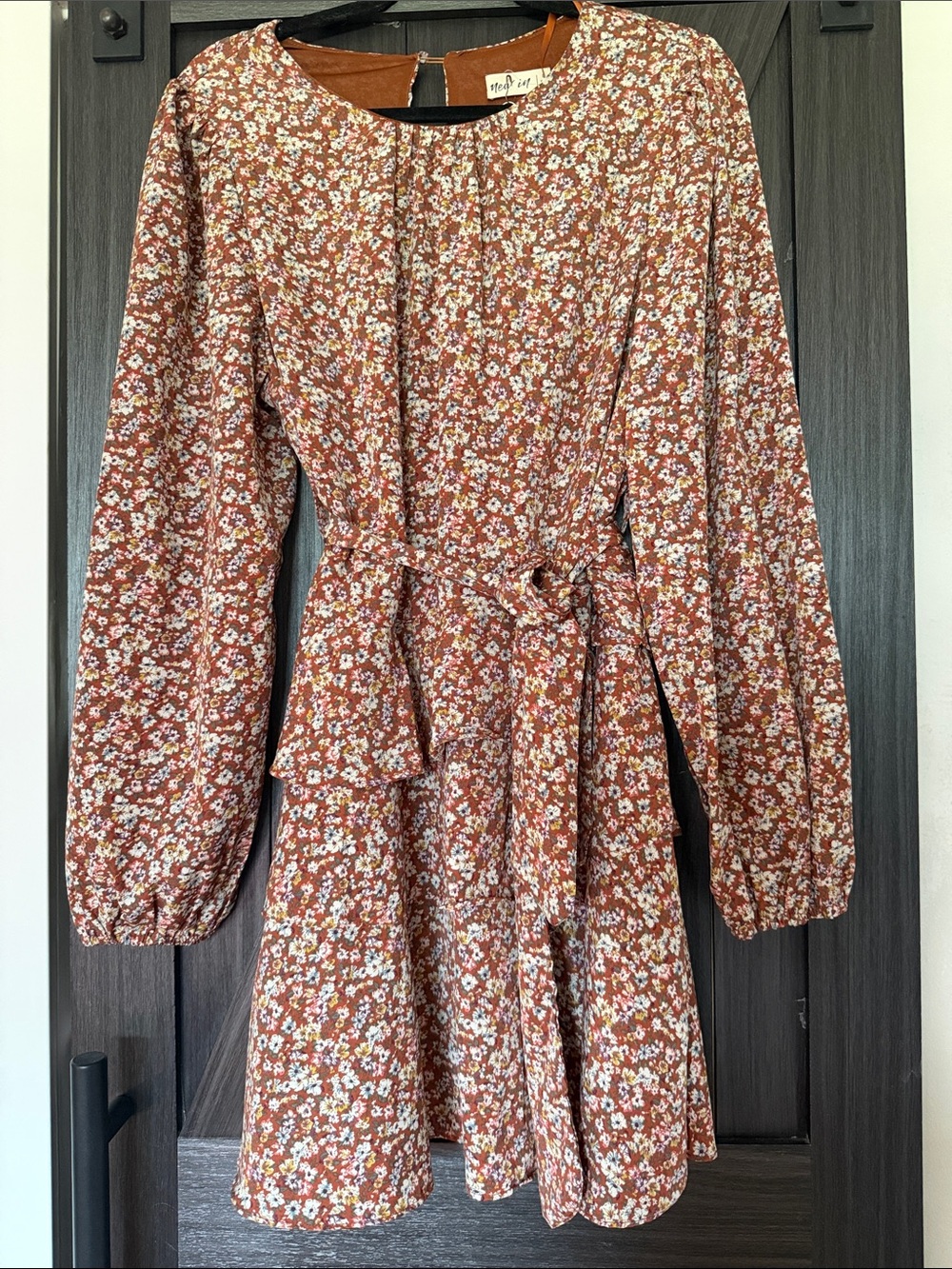 Floral Long Sleeve Belted Mini Dress - Rust Floral